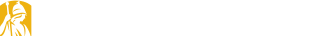 University at Albany Logo